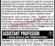 Jobs In University Of Karachi