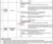 Jobs in University of Kotli Azad Jammu and Kashmir