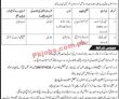 Jobs In University Of Lucky Marwat