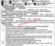 Jobs in University of Narowal