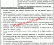 Jobs In University Of Okara