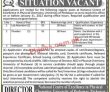 Jobs In University Of Peshawar Up