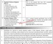 Jobs in University of Poonch Rawalakot