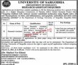 Jobs in University of Sargodha SU