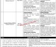 Jobs In University Of Sargodha