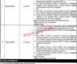 Jobs in University of Sargodha