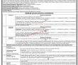 Jobs in University of Sindh