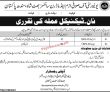 Jobs In University Of Sufism And Modern Sciences