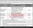 Jobs In University Of Swat