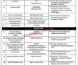 Jobs In University Of Technology Nutech Islamabad