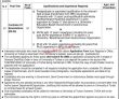 Jobs In University Of Turbat