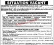 Jobs in University of Veterinary & Animal Sciences Lahore