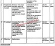 Jobs in University of the Punjab Lahore