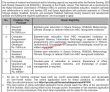Jobs In University Of The Punjab