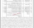 Jobs In Villas Development Authority