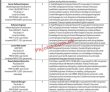 Jobs In Virtual University Of Pakistan Vu