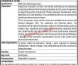 Jobs In Wil Wah Industries Limited