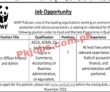 Jobs In Wwf Pakistan