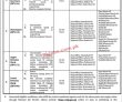 Jobs In Wafaqi Mohtasib Ombudsman’s Secretariat