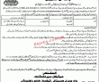 Jobs in Wah General Hospital