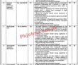 Jobs In Water & Sanitation Agency Faisalabad