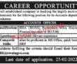 Jobs In Well Established Company