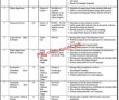 Jobs In Well Reputed Local Organization