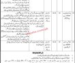 Jobs In Women Development Department Government Of Sindh