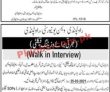 Jobs in Women University Rawalpindi