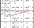Jobs in World Bank Funded Project Karachi