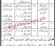 Jobs In World Bank Funded Project