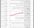 Jobs in ZEDEM International Private Limited