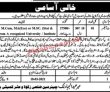 Jobs in Zakat Committee