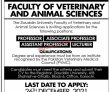 Jobs In Ziauddin University