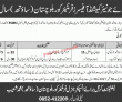 Join Frontier Corps As Commissioned Officers Pk Jobs 2021