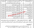 Joint Testing Services Pakistan (JTSP) Management PK Jobs 2021