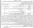 Judiciary Jobs 2022 | Provincial High Court Administrative Department Announced
