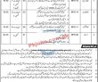 Judiciary Jobs 2023 | Judiciary Headquarters Announced Latest Recruitments