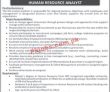 Kcbl Jobs 2022 | The Karakorum Cooperative Bank Limited Kcbl