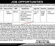 Kpk Public Sector Organization Newest Jobs 2022 Advertisement Pk