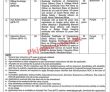Kpt Karachi Port Trust Latest Jobs 2023