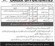 Karachi Bahria Town New Vacancy Jobs 2022 Advertisement Pk