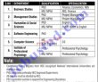 Karachi Bahria University Pakistan Latest Today Jobs 2022 Advertisement