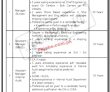 Karachi Pakistan National Shipping Corporation Pnsc It In Government Sector