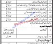 Karachi Public Sector Organization New Govt Today Jobs 2022 Advertisement