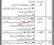Karachi Public Sector Organization New Vacancy Jobs 2022 Advertisement