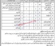 Karachi Sindh Combined Military Hospital Cmh Pakistan Government Jobs 2022