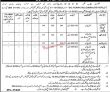 Lg & Cd Jobs 2022 | Local Government & Community