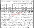 Lahore Education Department Punjab Government In Pakistan Today Jobs 2022