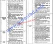 Lahore Finance Department Government Of The Punjab Pakistan Government Jobs